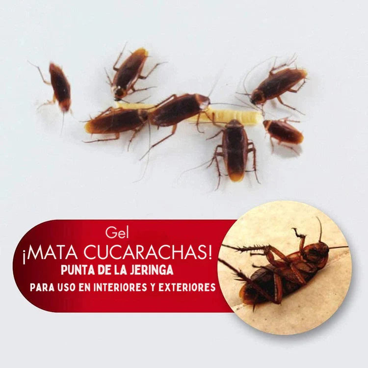 Cebo Mata Cucaracha